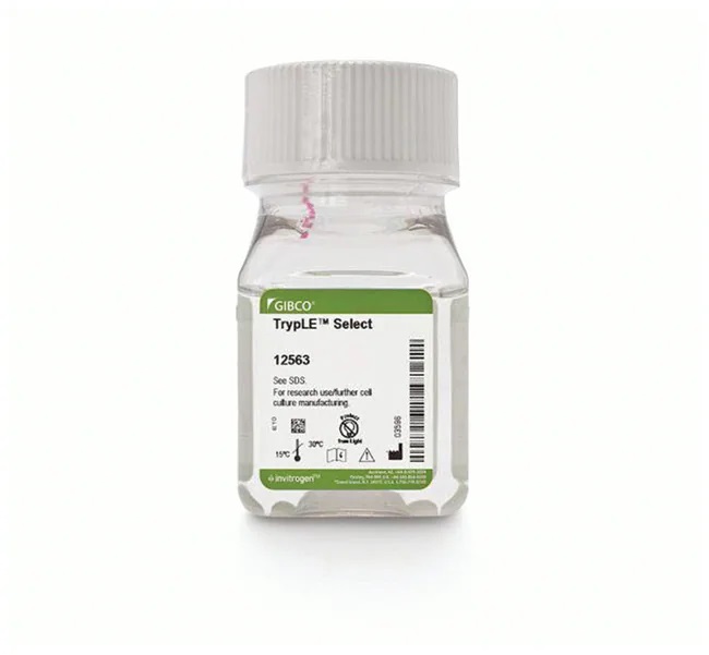 TrypLE Select Enzyme (1X), no phenol red